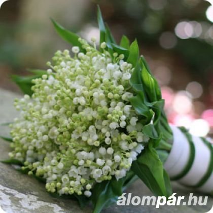 3-www.alompar.hu