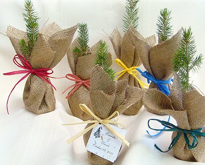 nature 4 angelaandart.blogspot.com