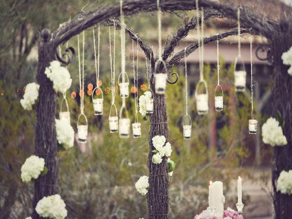 vinateg 7 www.srime.com