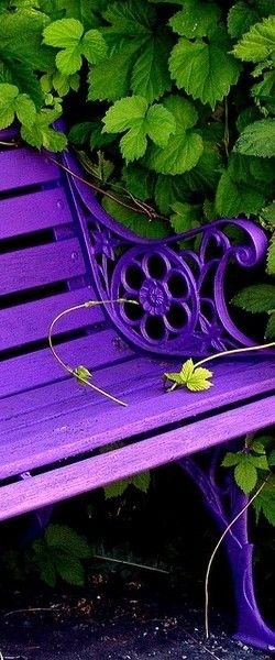 12 httpwww.pinterest.compin291959988314148416