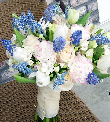 Something Blue Grape hyacinths add "something blue" to the white roses, tulips, bouvardia, and alstroemeria that make up this bouquet. --Photographer and floral designer Sandra Meyer