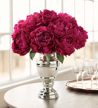 boards.weddingbee.com