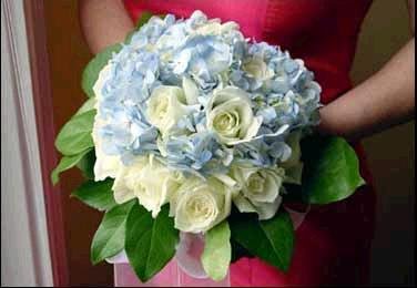 allemarie.wordpress.com9