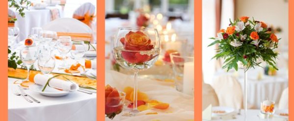 partysimplicity.com13