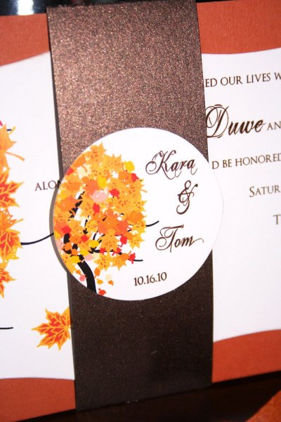 toochiclittleshab.com.